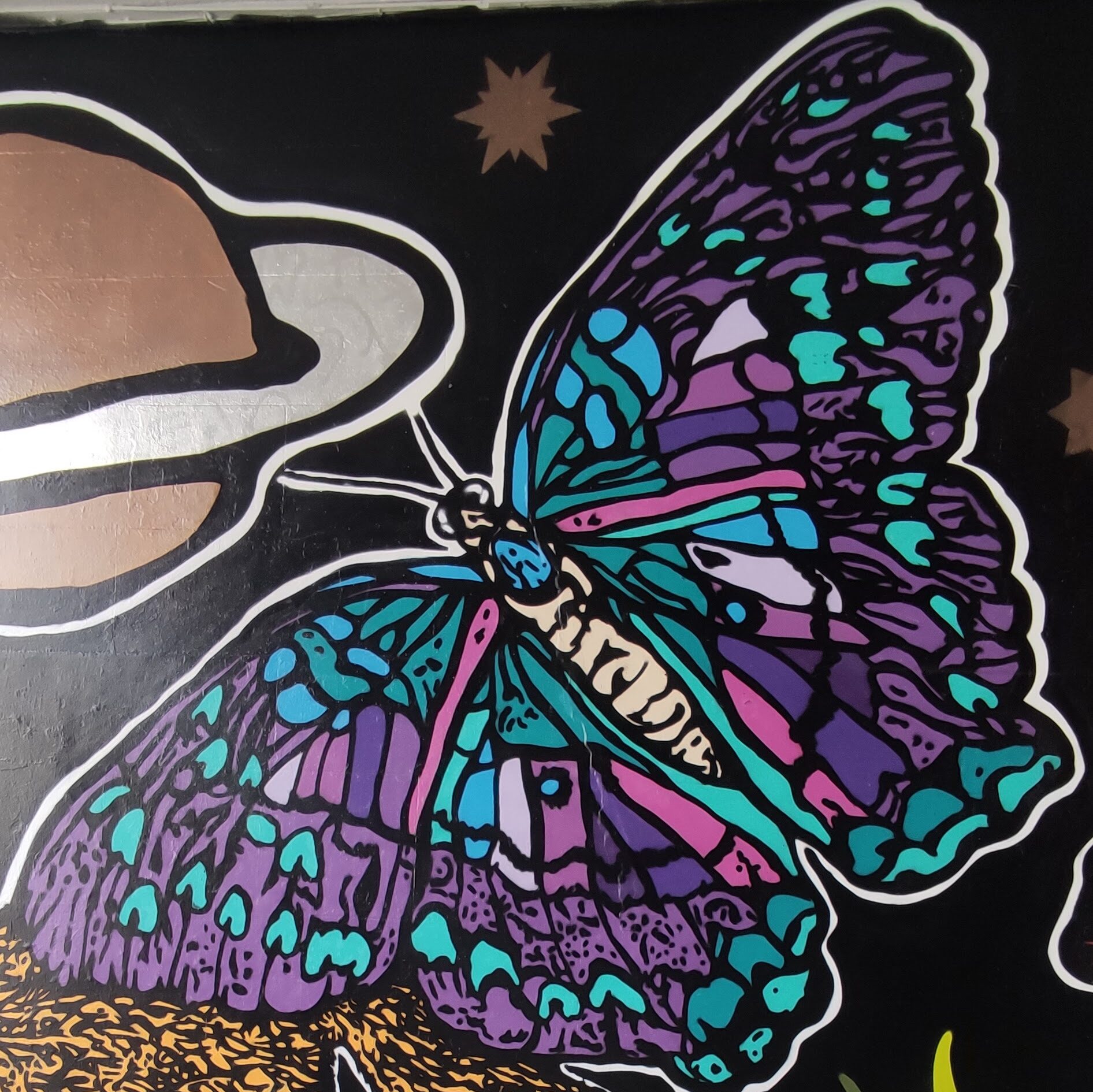 butterfly mark and susan mural