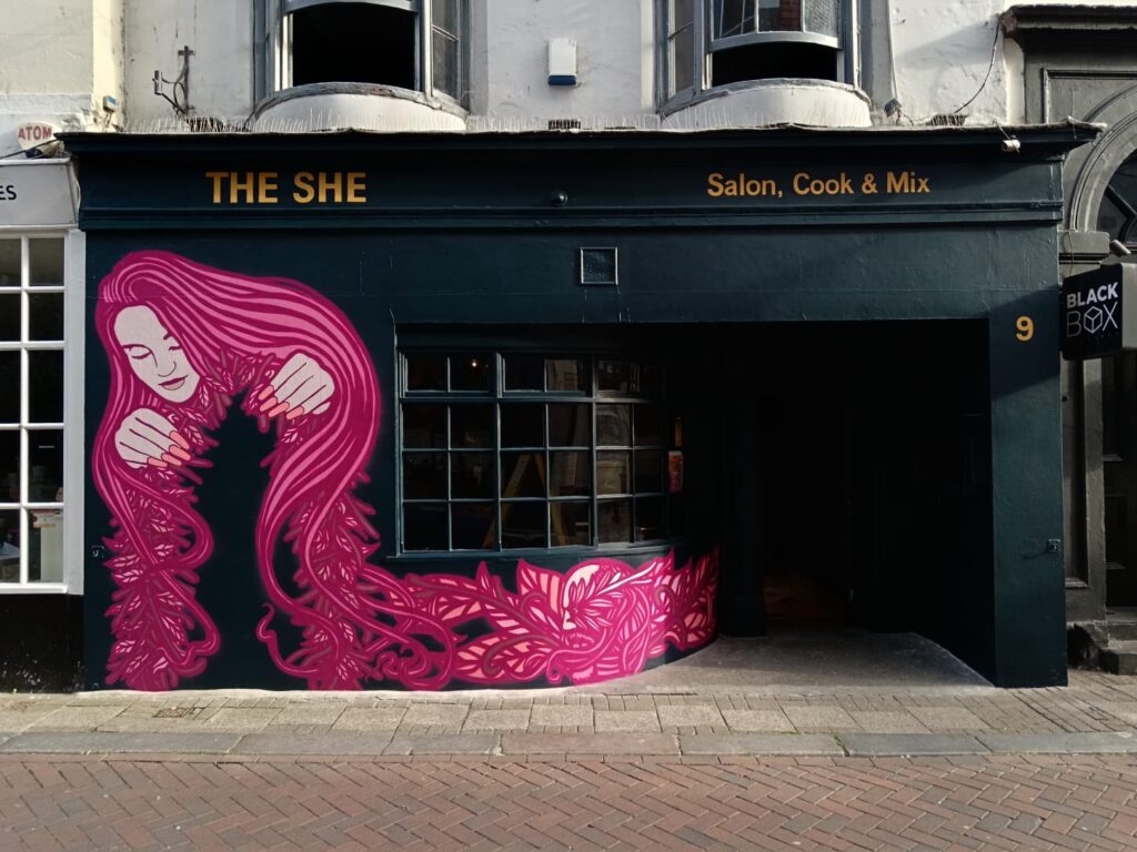 copy of the she(1)