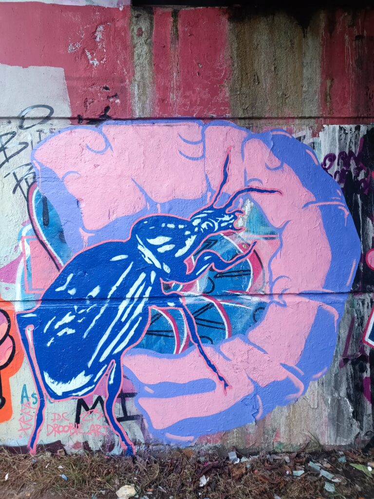 copy of snail catcher bristol